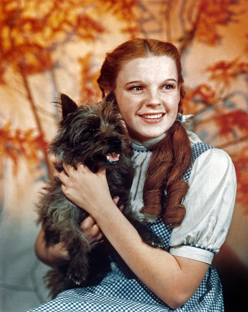 Джуди Гарленд в роли Дороти с собакой которая сыграла Тото. Съемка к выходу фильма «Волшебник страны Оз».