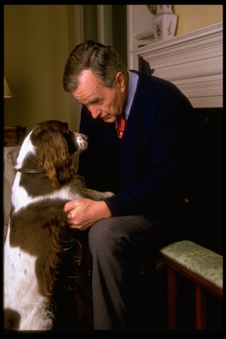 Джордж Бушстарший иnbspего собака Милли.