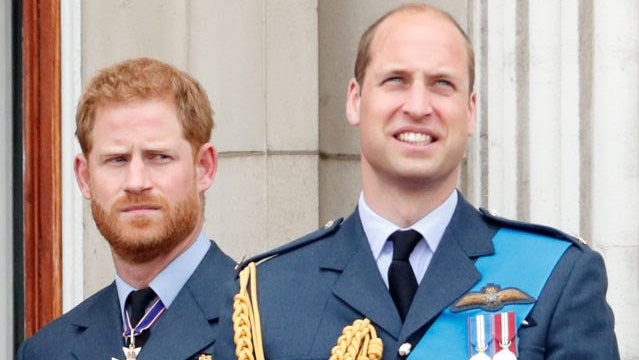 Принц Уильям и принц Гарри совместно установят памятник принцессе Диане