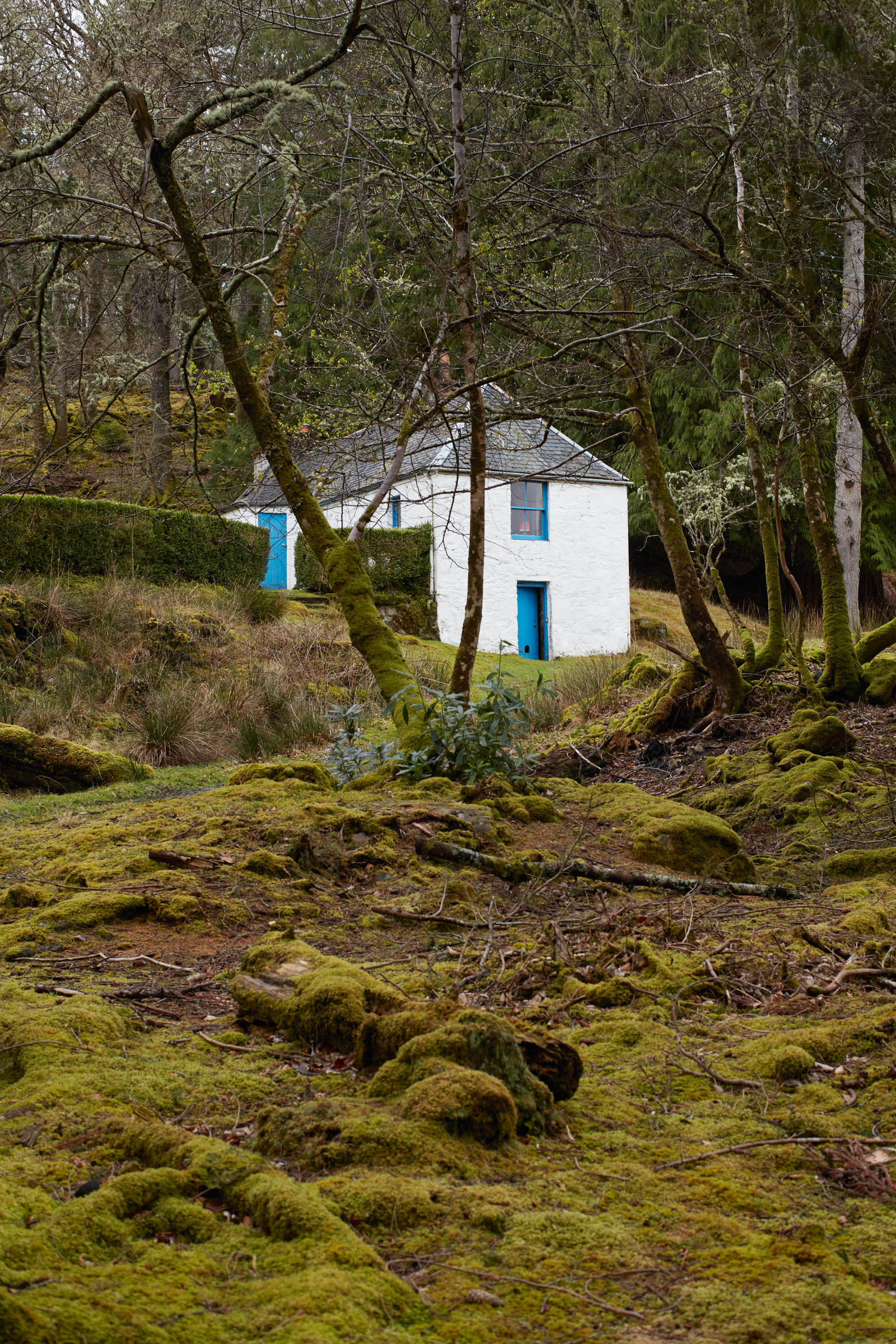 The White Cottage один из восьми домиков на острове ЭйленШона который принадлежит Ванессе Брэнсон.