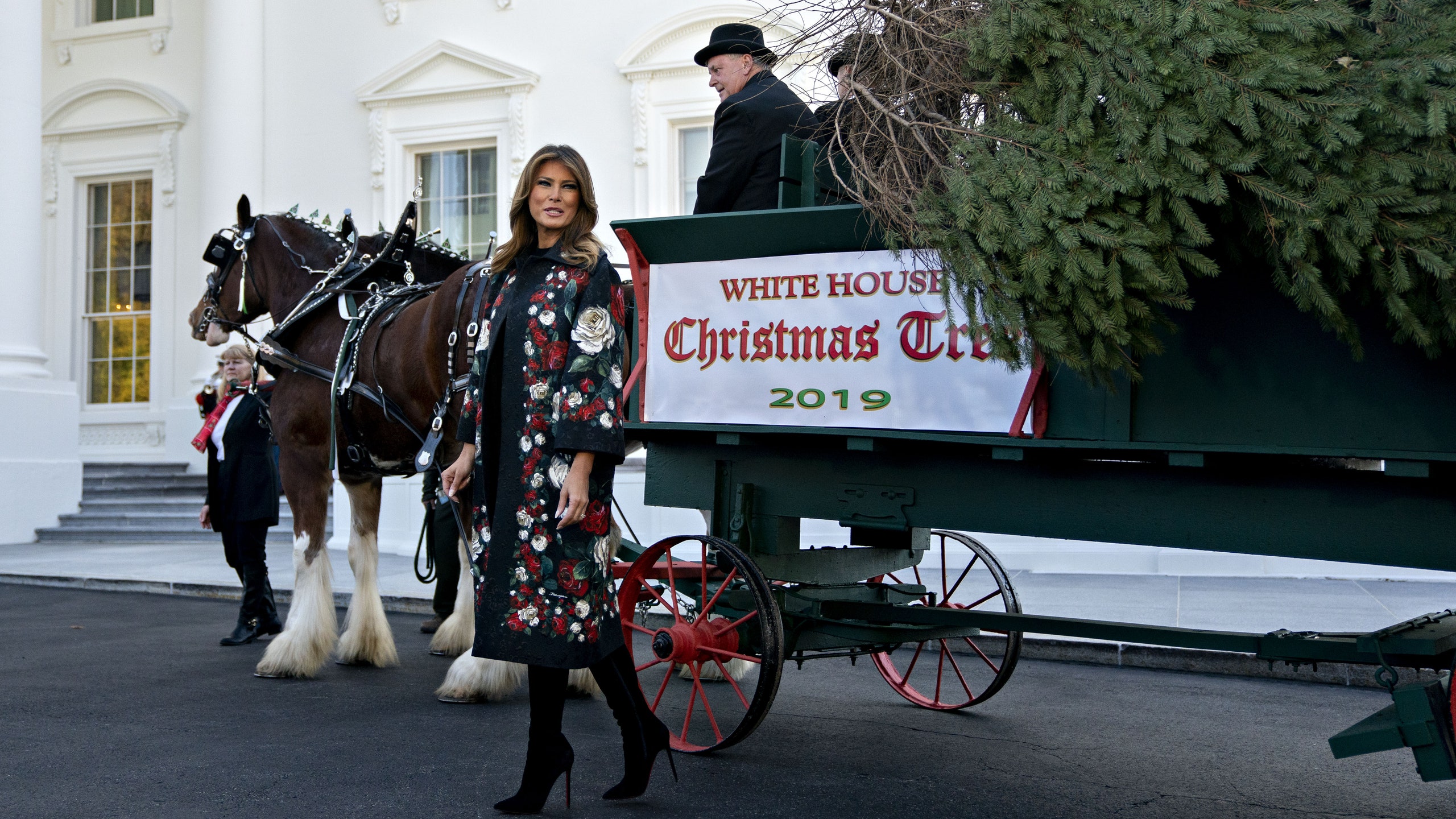 Мелания Трамп приняла рождественскую елку от семьи из Пенсильвании и поприветствовала псагероя