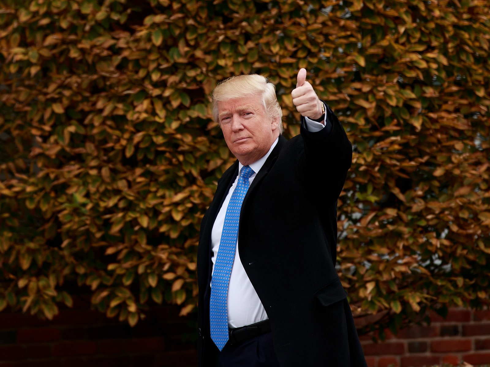 Дональд Трамп приехал на свадьбу к своим фанатам и поцеловал невесту