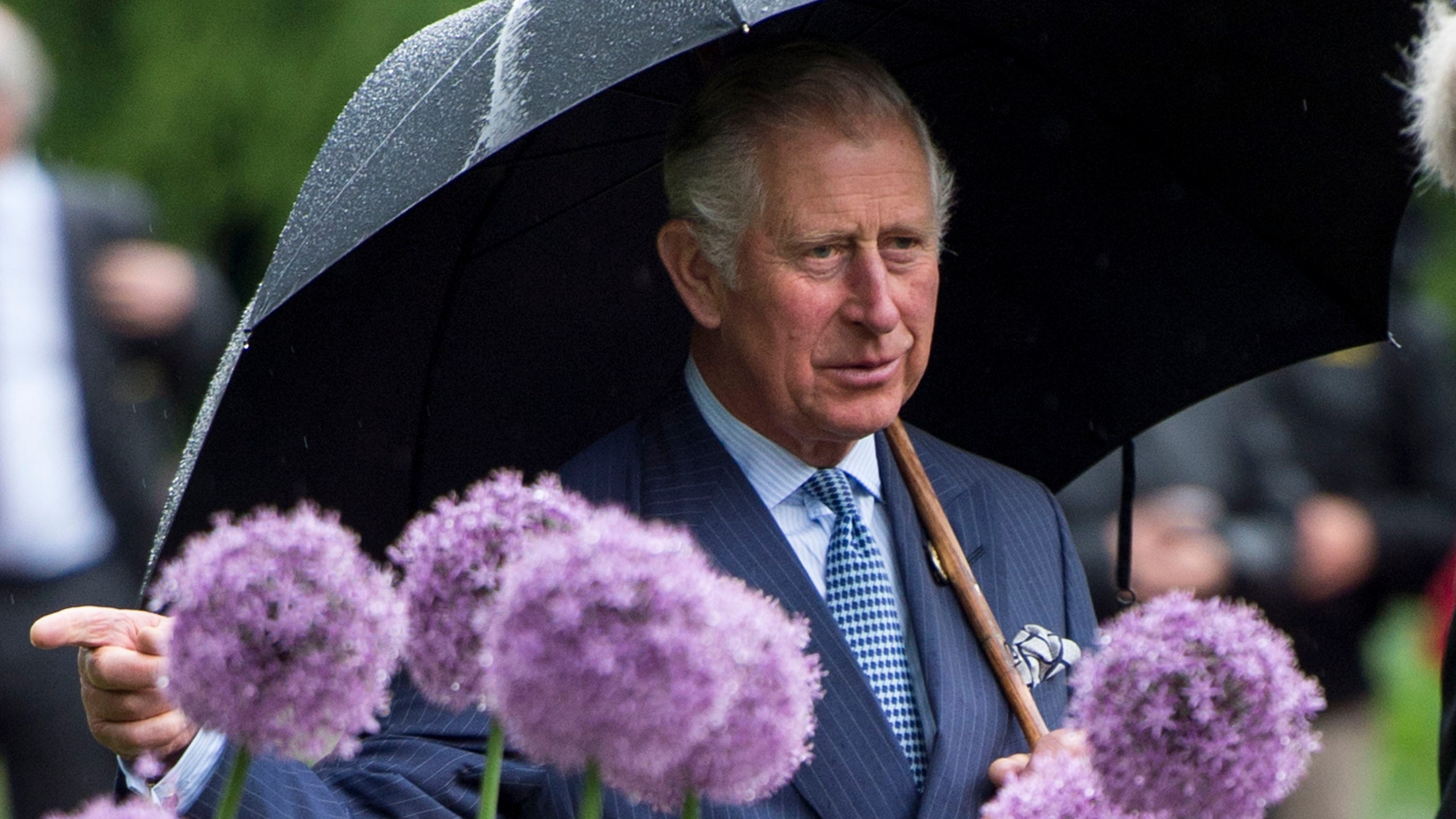 Принц Чарльз предоставил крапиву из своего сада марке экологичной одежды