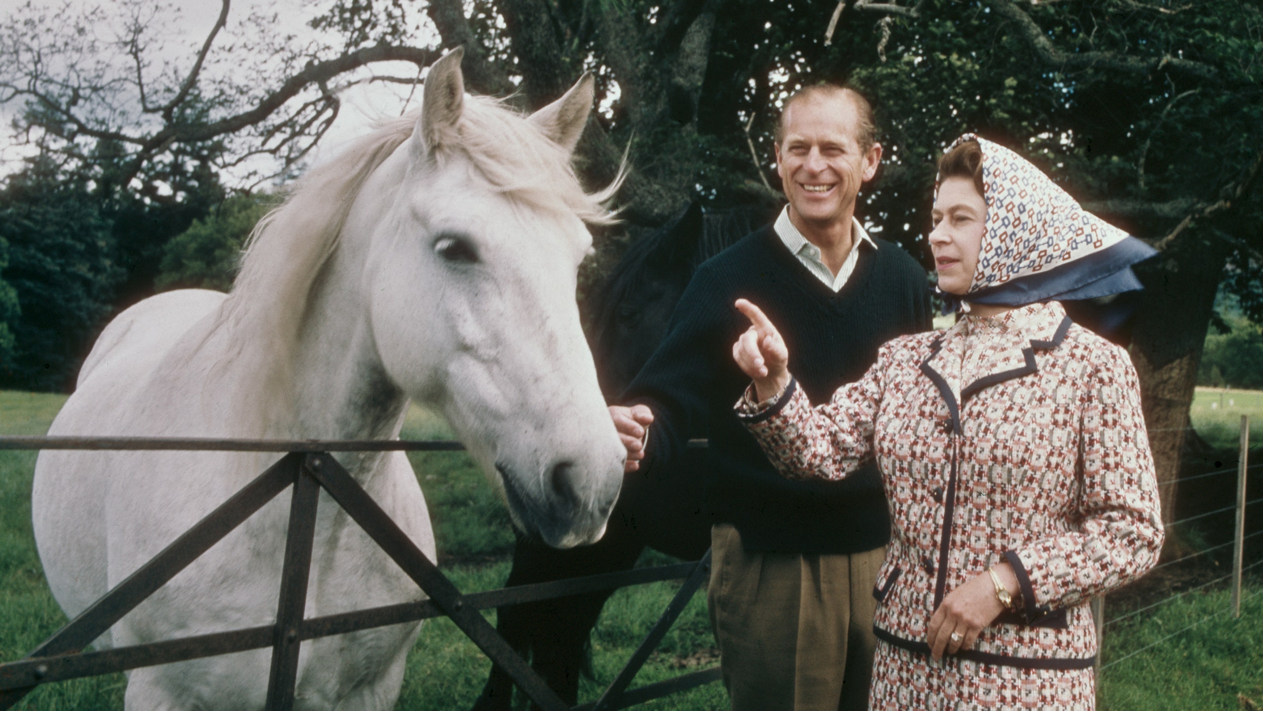 Елизавета II и ее любовь к лошадям и скачкам Ascot