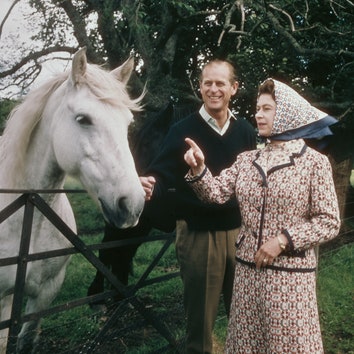Представители королевской семьи обожают лошадей больше, чем кто-либо