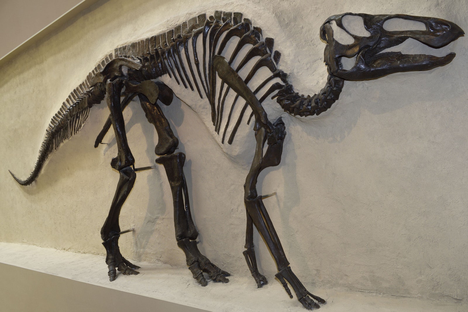 Кости динозавров  новая тенденция в артмире