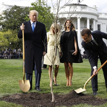 Дональд Трамп и Эммануэль Макрон посадили дерево у Белого дома
