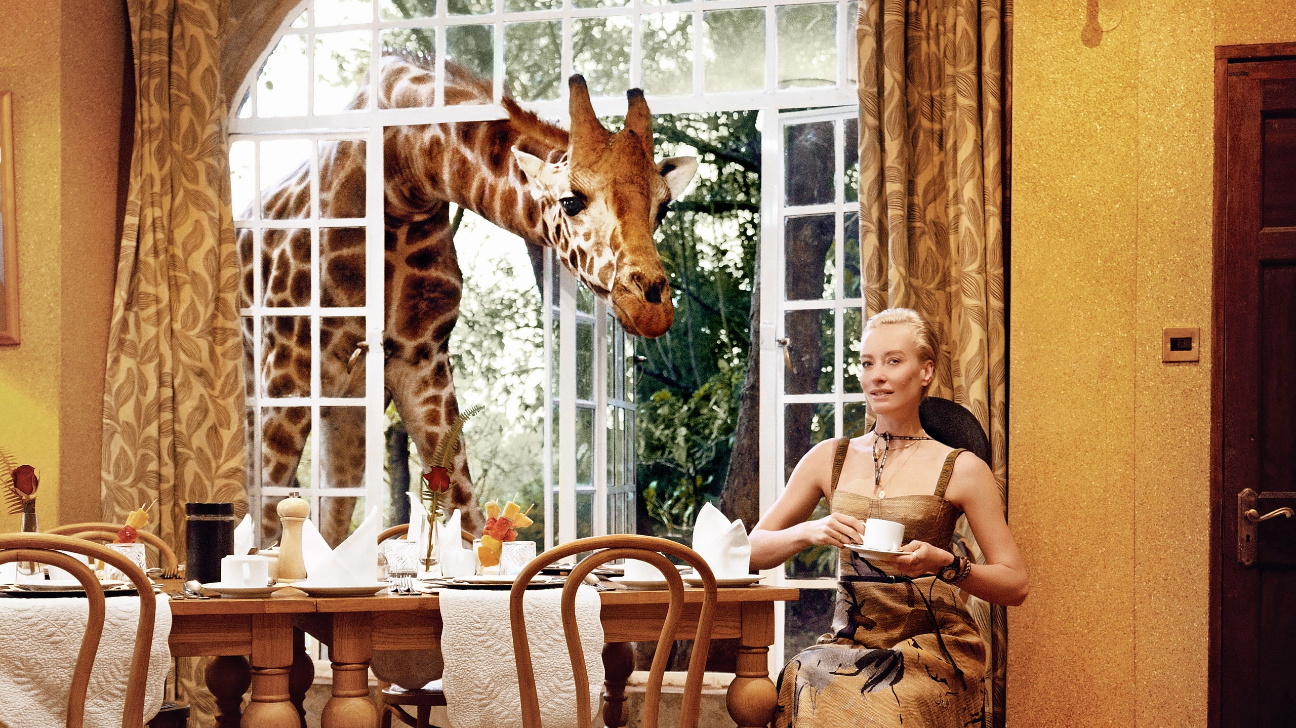 Наталья Давыдова фото и завтрак с жирафами