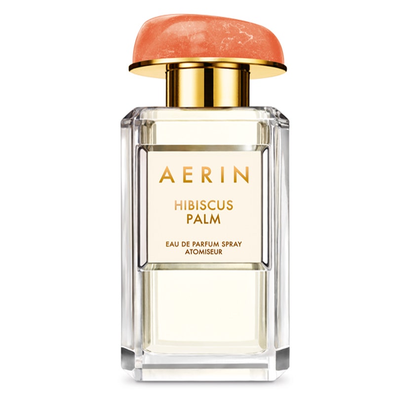 Hibiscus Palm Aerin 9400 руб.