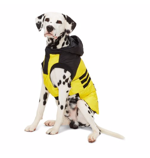 Куртка для собаки Ralph Lauren