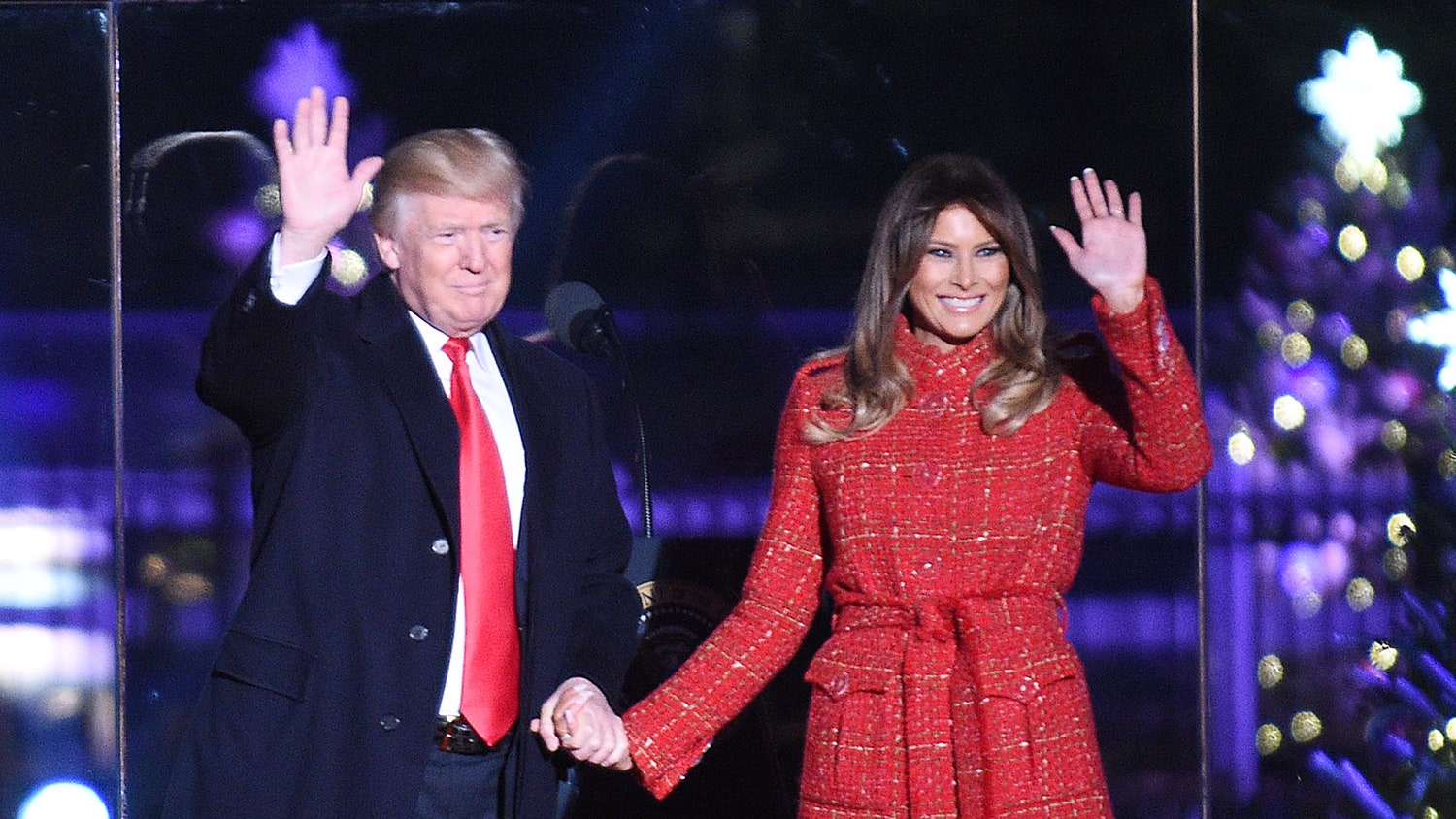 Мелания и Дональд Трамп фото с зажжения главной ёлки США