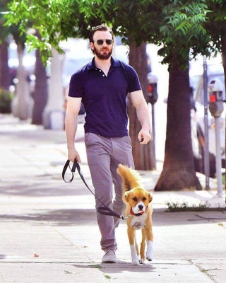 «Капитан Америка» Крис Эванс и его собака по кличке Доджер.