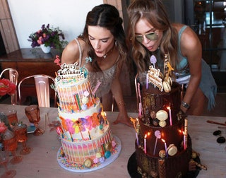 Алессандра Амбросио и Жозефин Скривер с праздничными тортами .