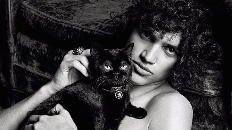 Первая кампания Givenchy под руководством Клэр Уэйт Келлер фото моделей с кошками