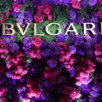 Алисия Викандер и Тони Гаррн на «оскаровском» ужине Bvlgari