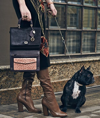 Ботфорты Sergio Rossi и сумка Dior.