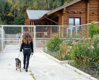 Карина Ротенберг и Олива направляются в «Лесной приют».