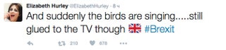 Элизабет Херли «Уже запели птицы ... а я не могу отлипнуть от телевизора следя за «Брексит».