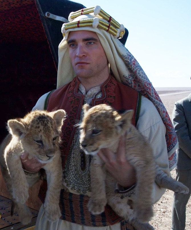 Котята в добрые руки Роберт Паттинсон и его хищные коллеи на съемочной площадке фильма «Королева пустыни»
