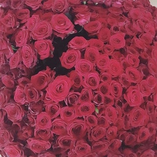 Тине Канделаки вручили не миллион но целую тысячу алых роз.