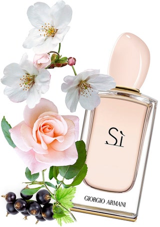 Фруктовоцветочный аромат Si от Giorgio Armani с нотами розы черной смородины и груши.