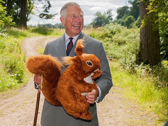 Принц Чарльз обзавелся подарком для внука — игрушечной белкой — во время недавнего визита в Шотландию