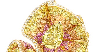 Archi Dior High Jewelry коллекция украшений к кутюрным нарядам | Tatler