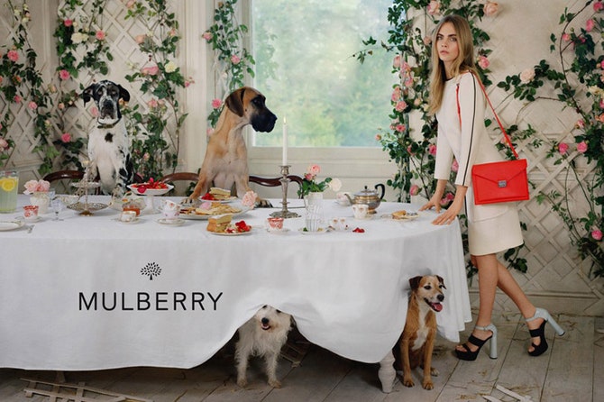 Кара Делевин и ее зоопарк в рекламной кампании Mulberry