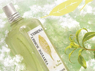 Коллекция «Вербеновый сорбет» от L'Occitane