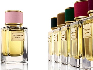«Бархатные» ароматы от Dolce&Gabbana
