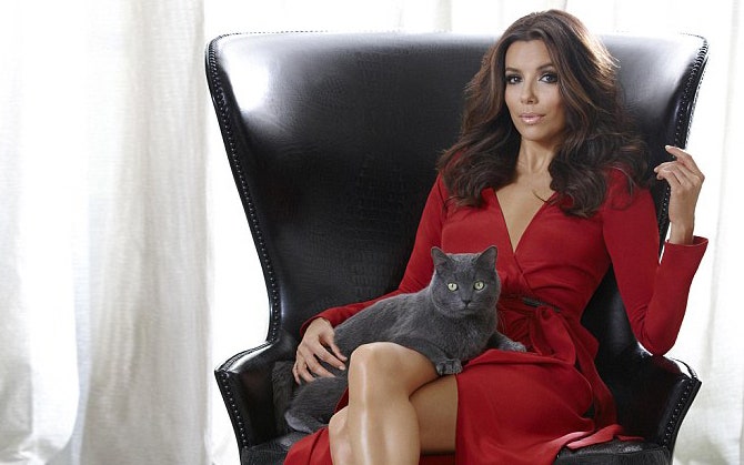 Ева Лонгория в рекламе корма для кошек Sheba