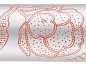 Коллекция  «Чувственный Пион» от L'Occitane