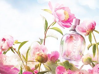 Коллекция  «Чувственный Пион» от L'Occitane