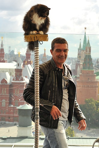 Фотоколл в Москве Сальма Хайек Антонио Бандерас и кошки