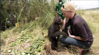 Шарлиз Терон и поцелуй с шимпанзе
