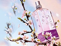 Коллекция «Сливовый цвет» от L'Occitane