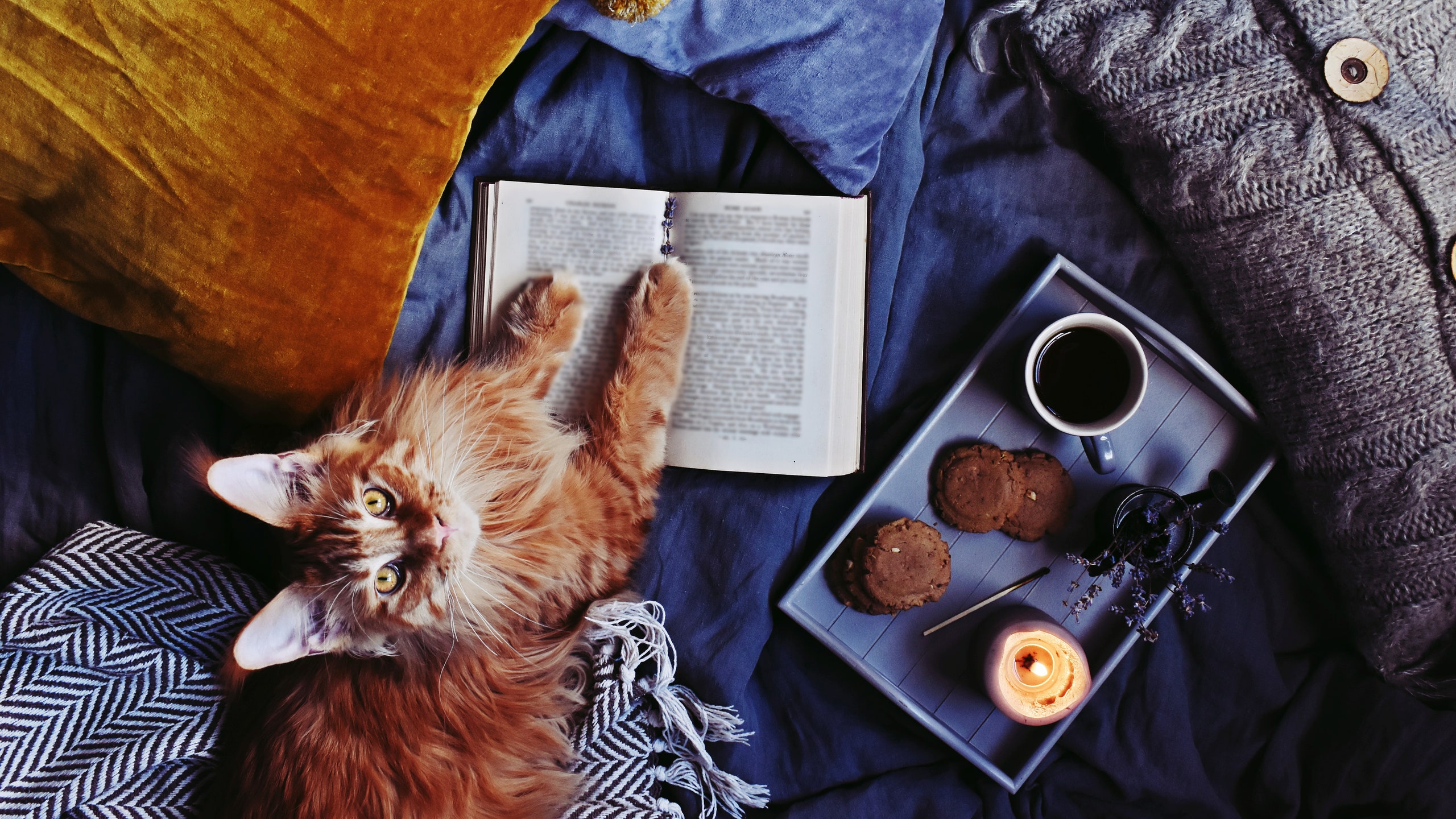 10 отличных книжных новинок для чтения осенью