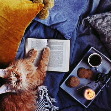 10 отличных книжных новинок для чтения осенью