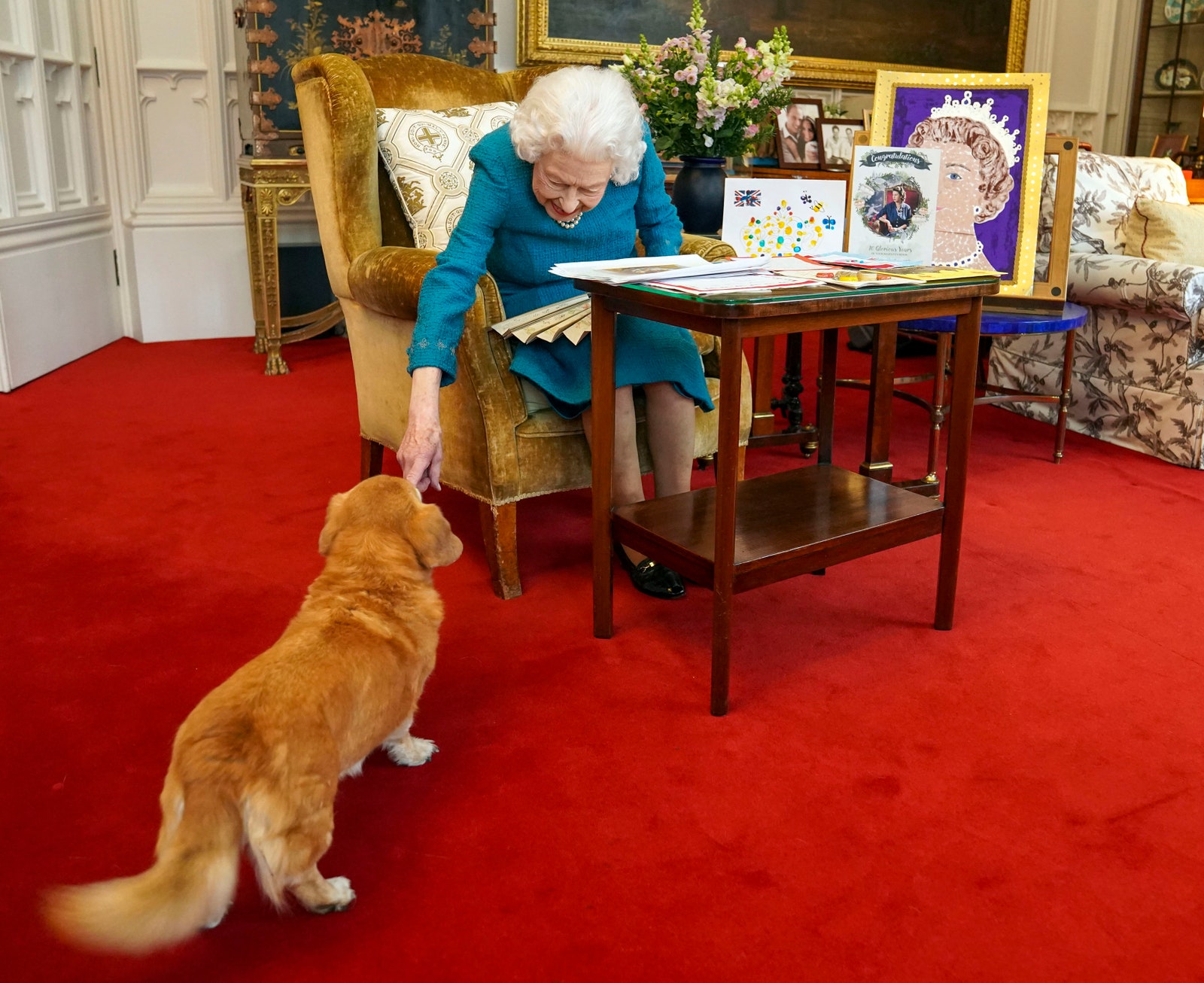 Все собаки Елизаветы II история дружбы длиною в 70 лет