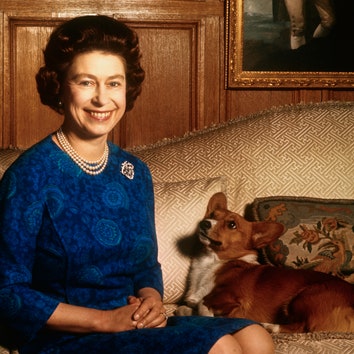Все собаки Елизаветы II: история дружбы длиною в 70 лет